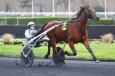 A L'AFFICHE : INDIGO DE FONTAINE, cheval à battre dans le Groupe III prix de la Mayenne ce dimanche à Vincennes